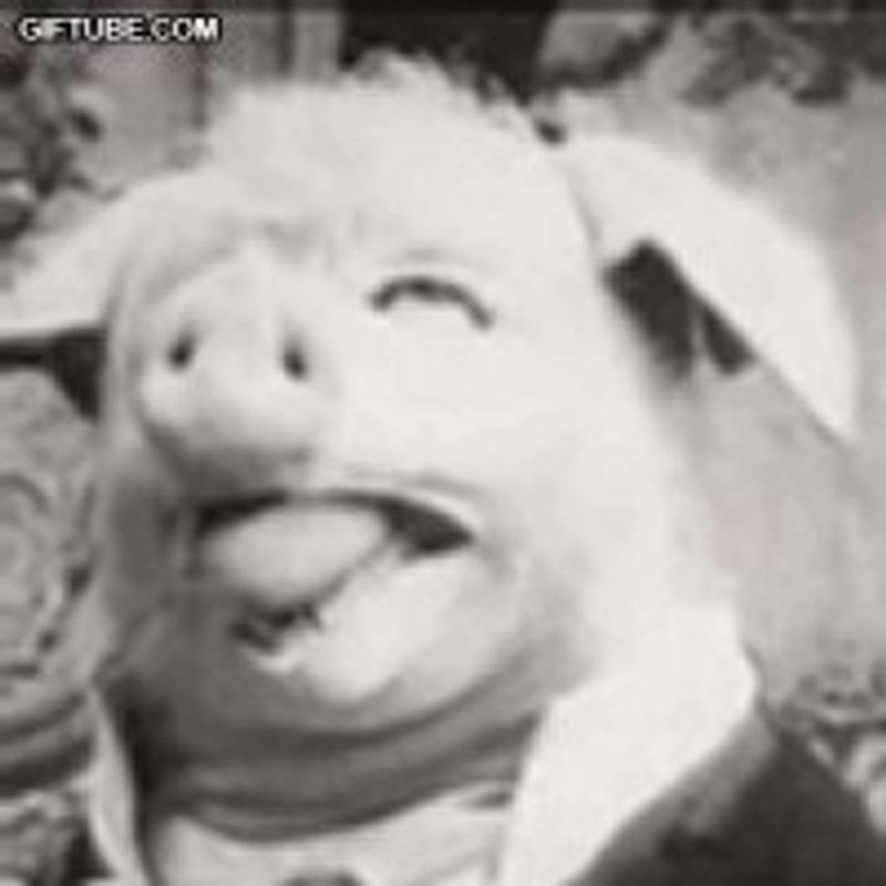 Ehnaeull Elemiah Guebert Gonçalves picture