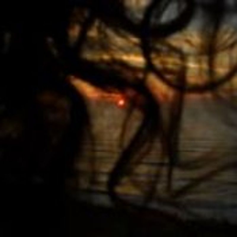 Raquel Chites picture