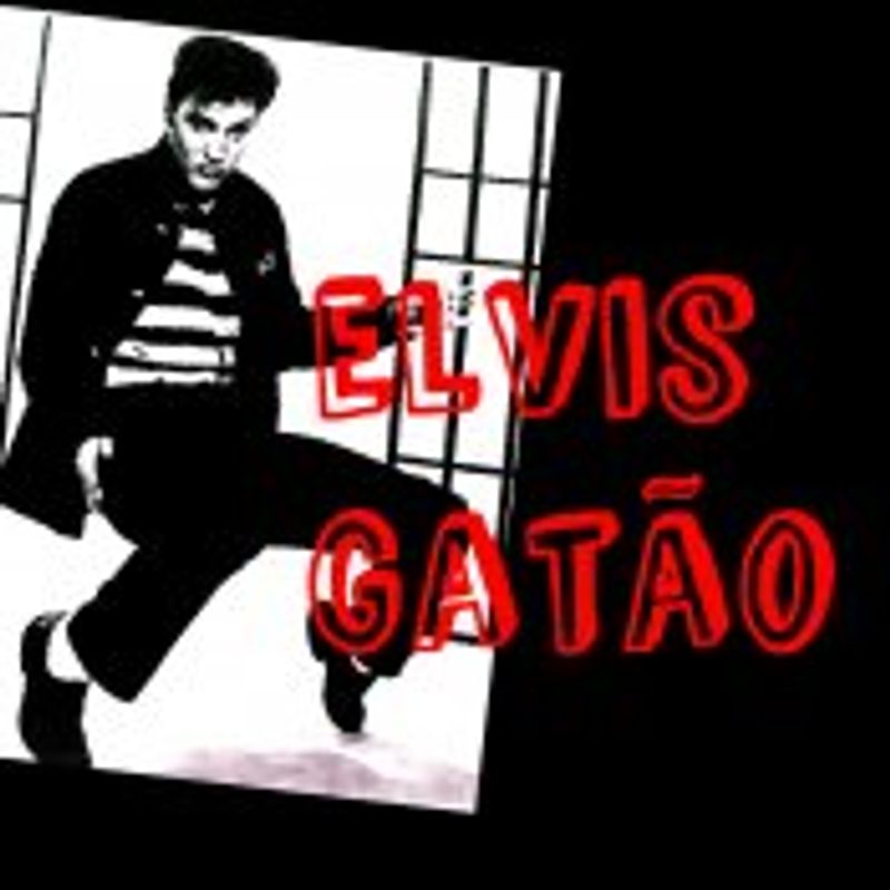 Blog Elvis Gatão (Ana Mercury) picture