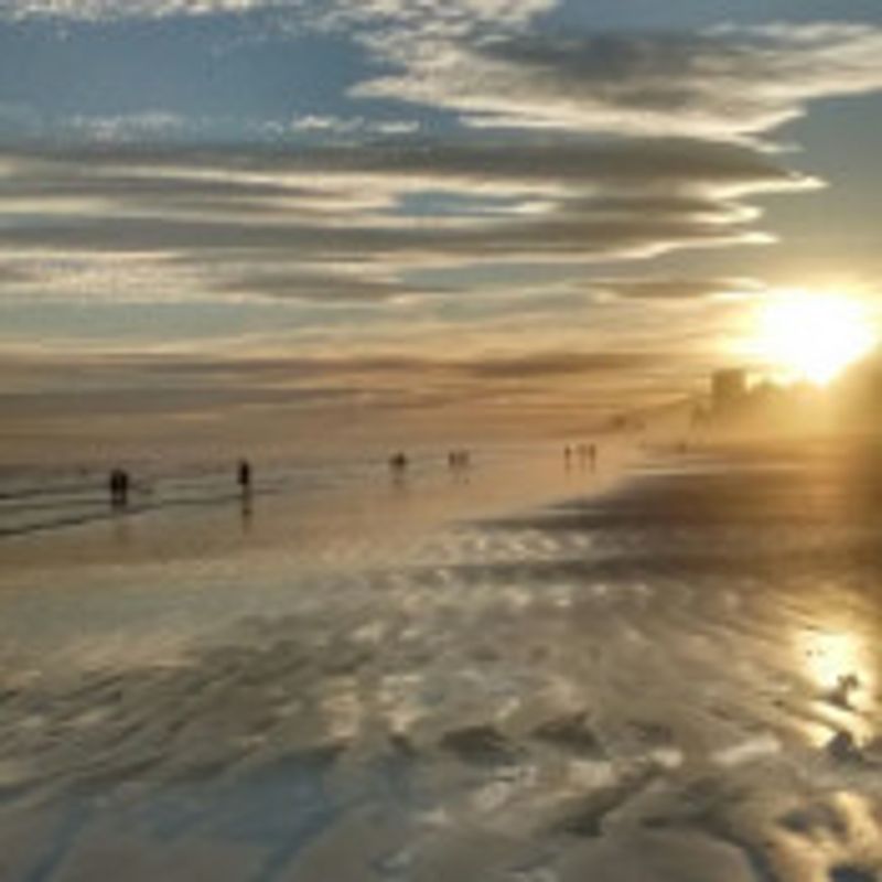 Mandy Brunini picture