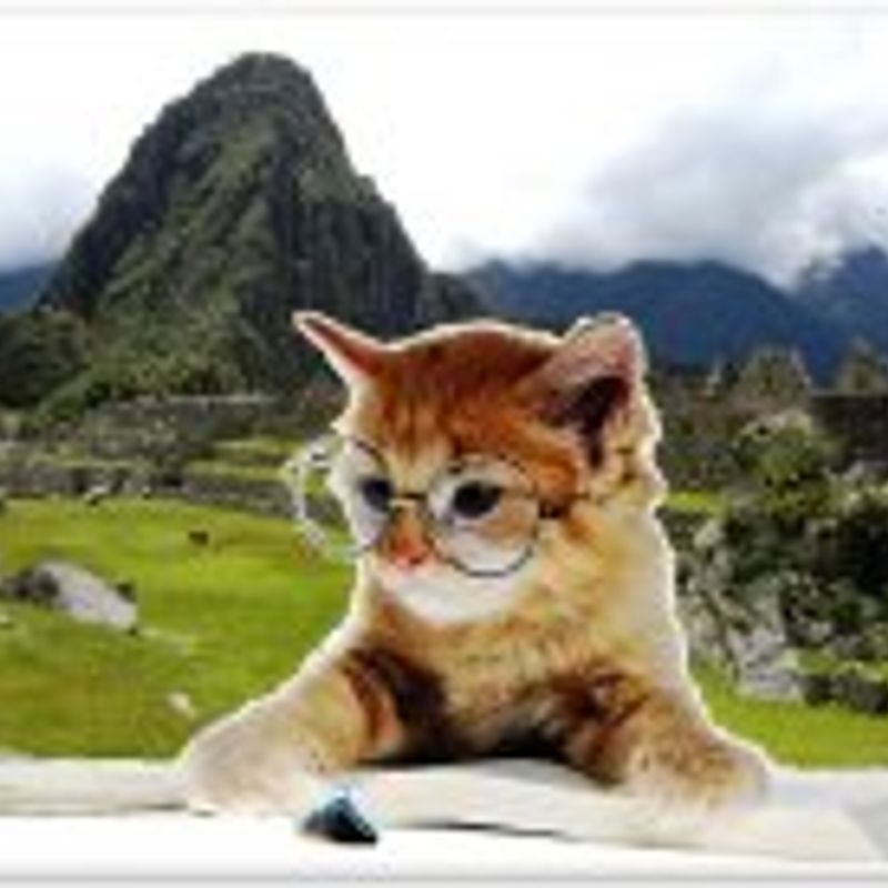 Mary Cat picture