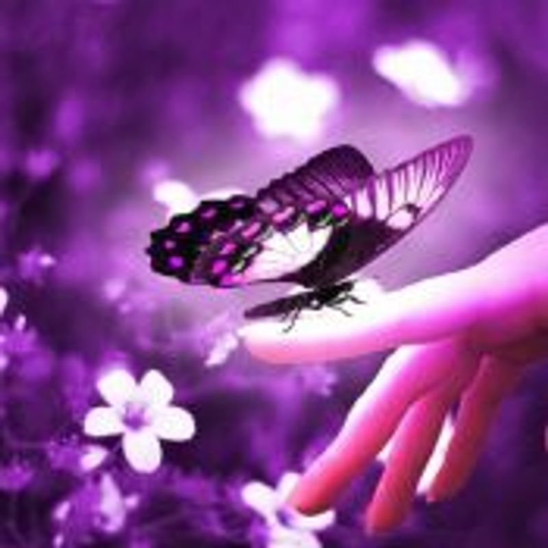 leticia cristina cespedes picture