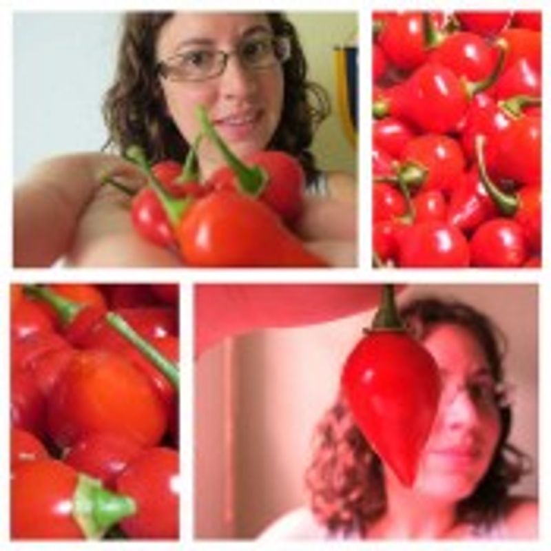 Priscilla Zimmermann Fernandes picture