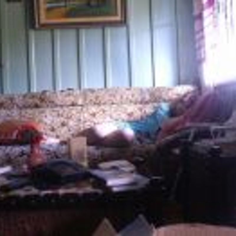 Annie van der Meer picture