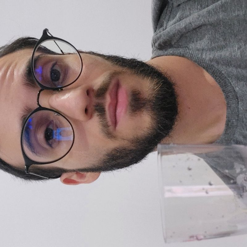 Pedro de Souza picture