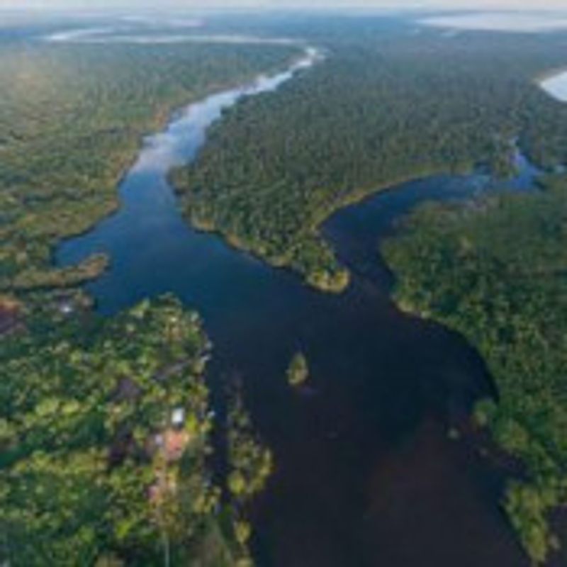Amapá e Amazônia picture