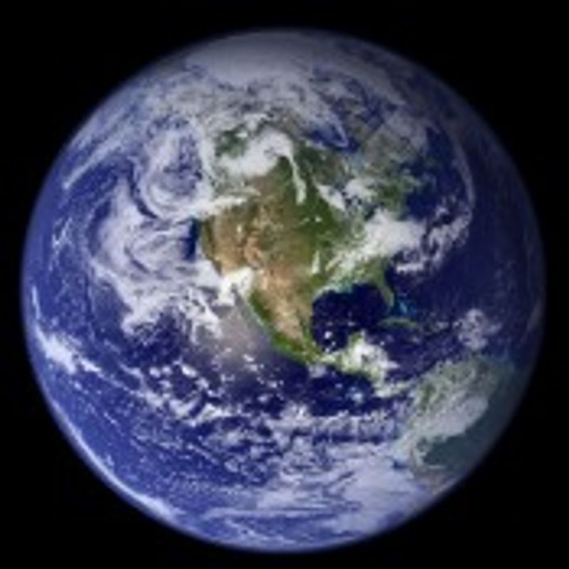 E. picture