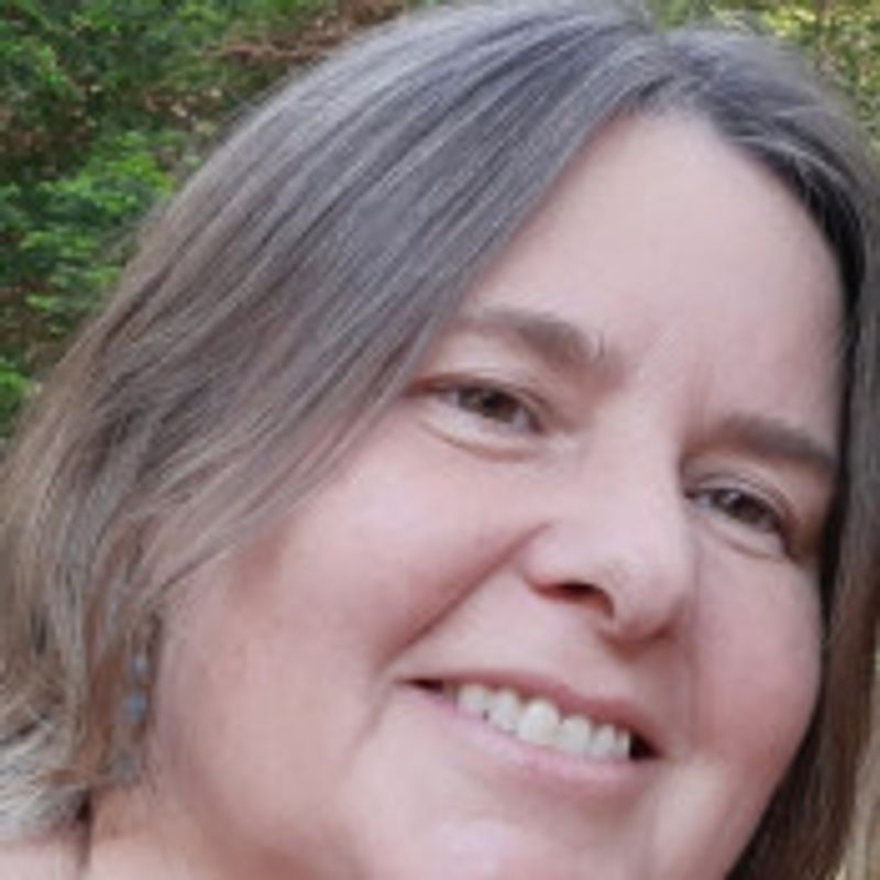 Beatriz Cattani picture