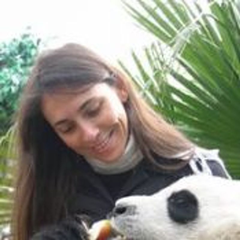 Renata Borges picture