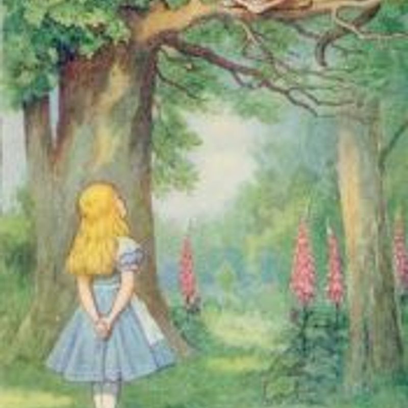 Alice Maravilhas picture