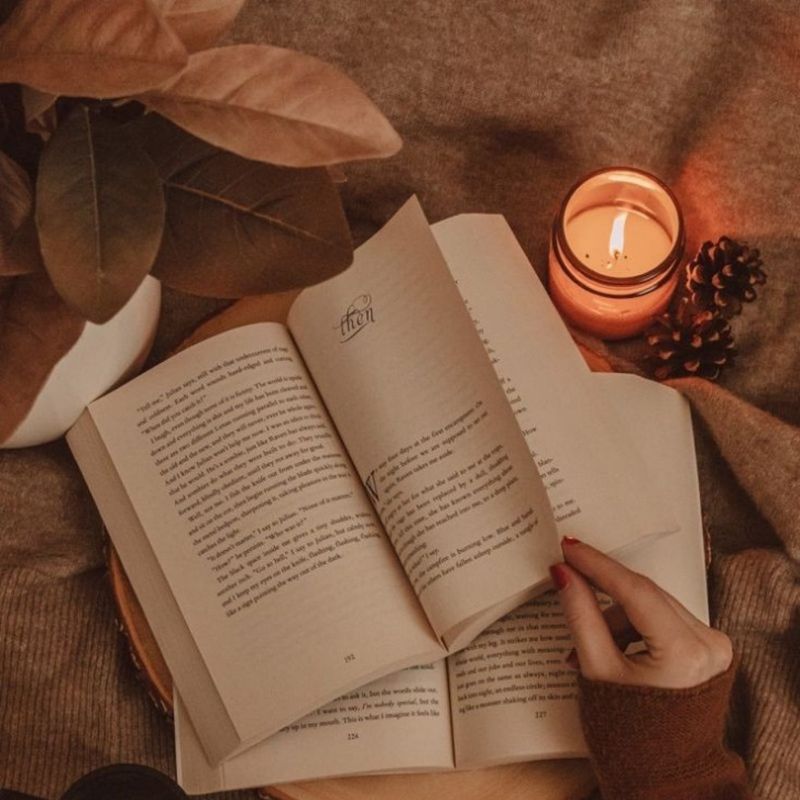 Ava books picture