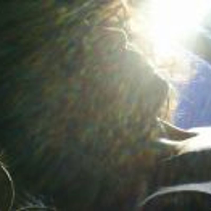 Dany Cury picture