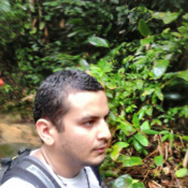 Rafael V. Mendes picture