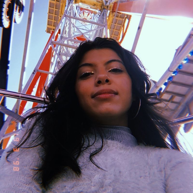 Milena Aragão picture