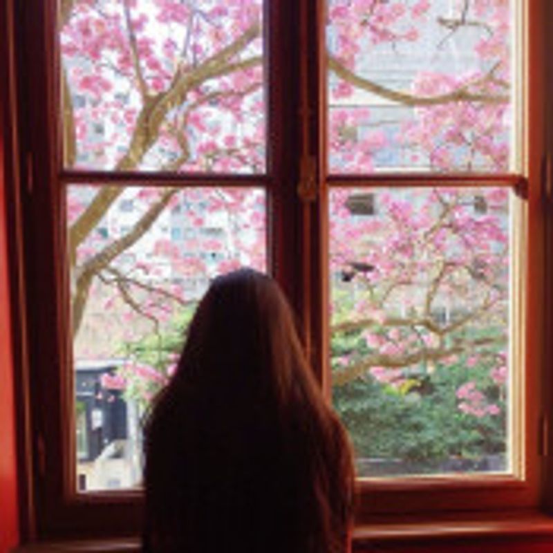 Lisaclarck picture