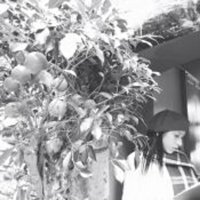 Joana T. Mariano picture