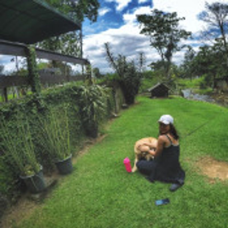 Thais Pereira picture