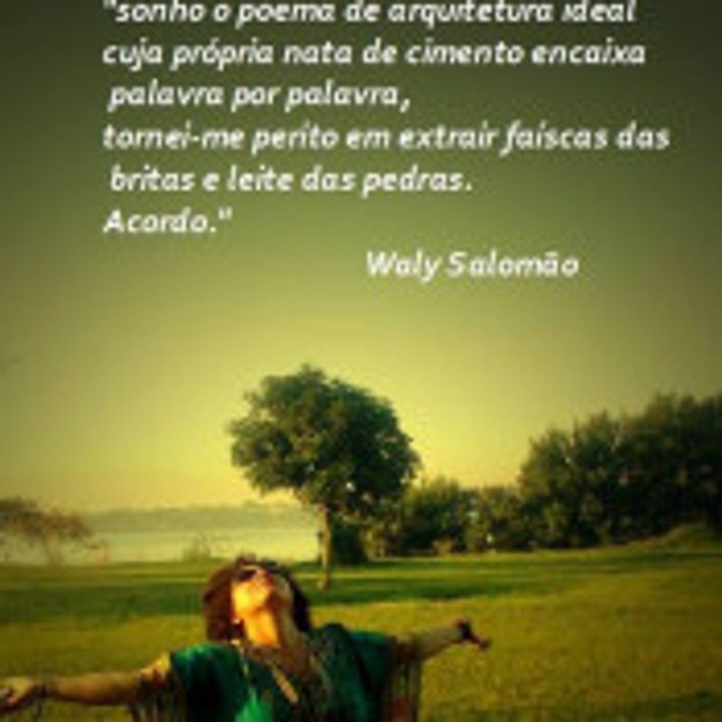 Ana Ribeiro picture
