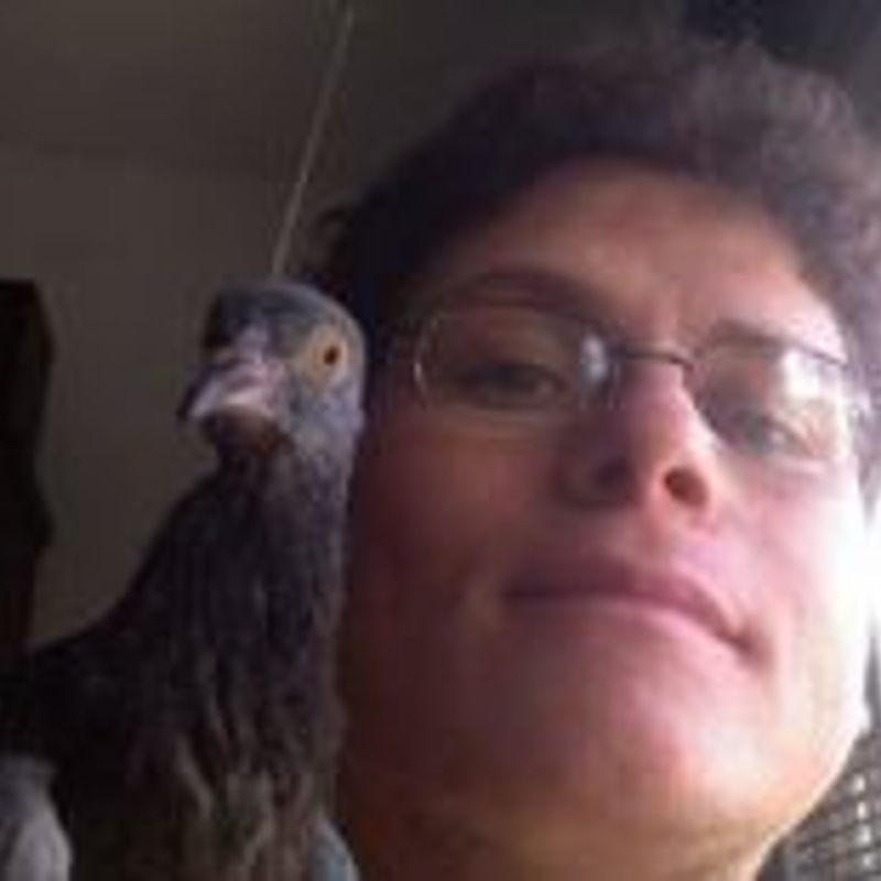 Fernando Mendes picture