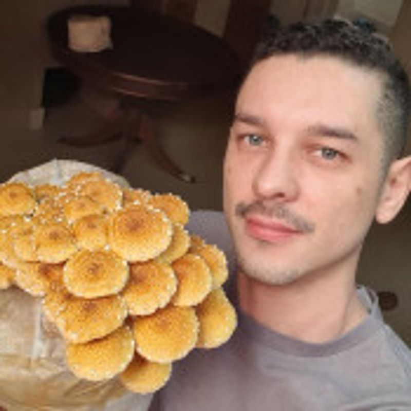 Felipe Ferreira picture
