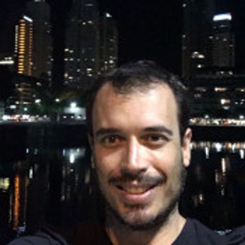 Flavio Rocha picture