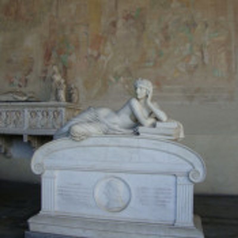 Stelaro picture