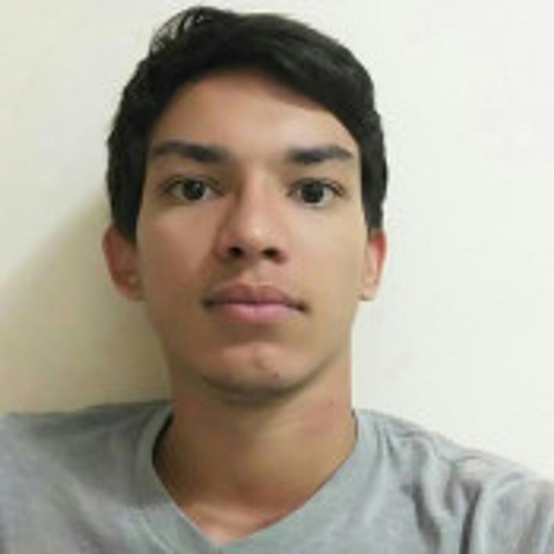 Vinícius Fernandes picture