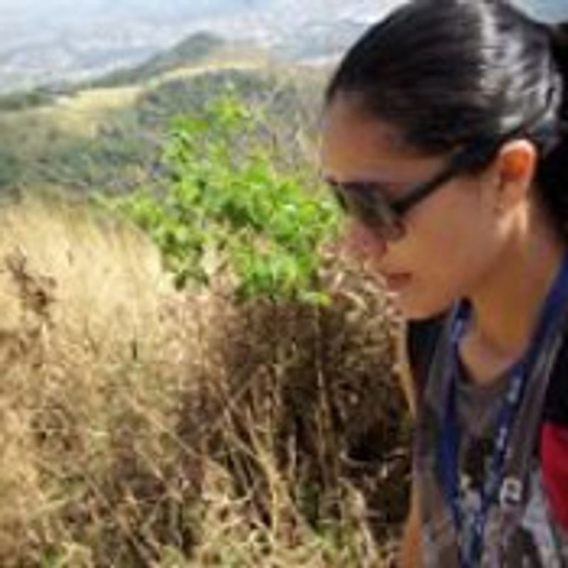 Dani Menezes picture