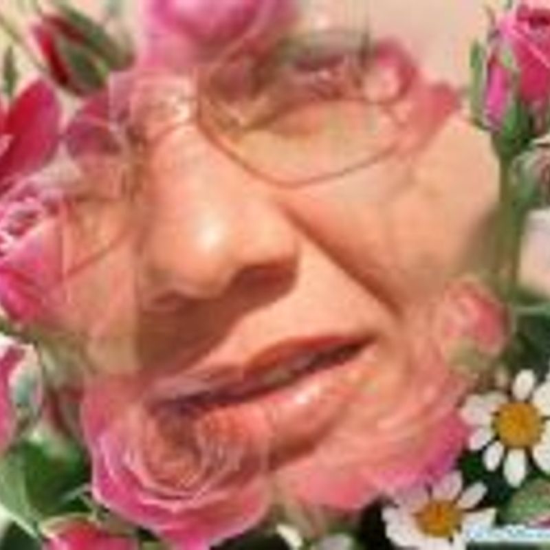 luciane tonete picture