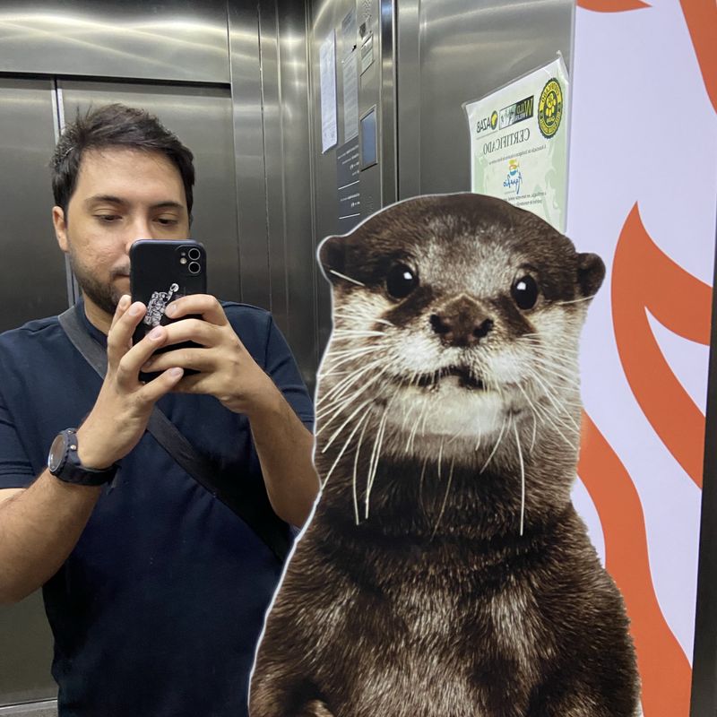 Jardell Carvalhêdo  picture