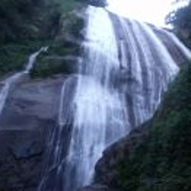 Farinha picture