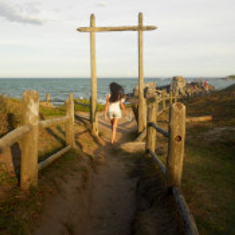 Marcela Nogueira picture