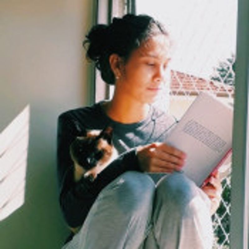 Aline Vieira Pinto Belintani picture