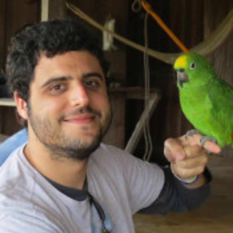 Ricardo Gouveia picture