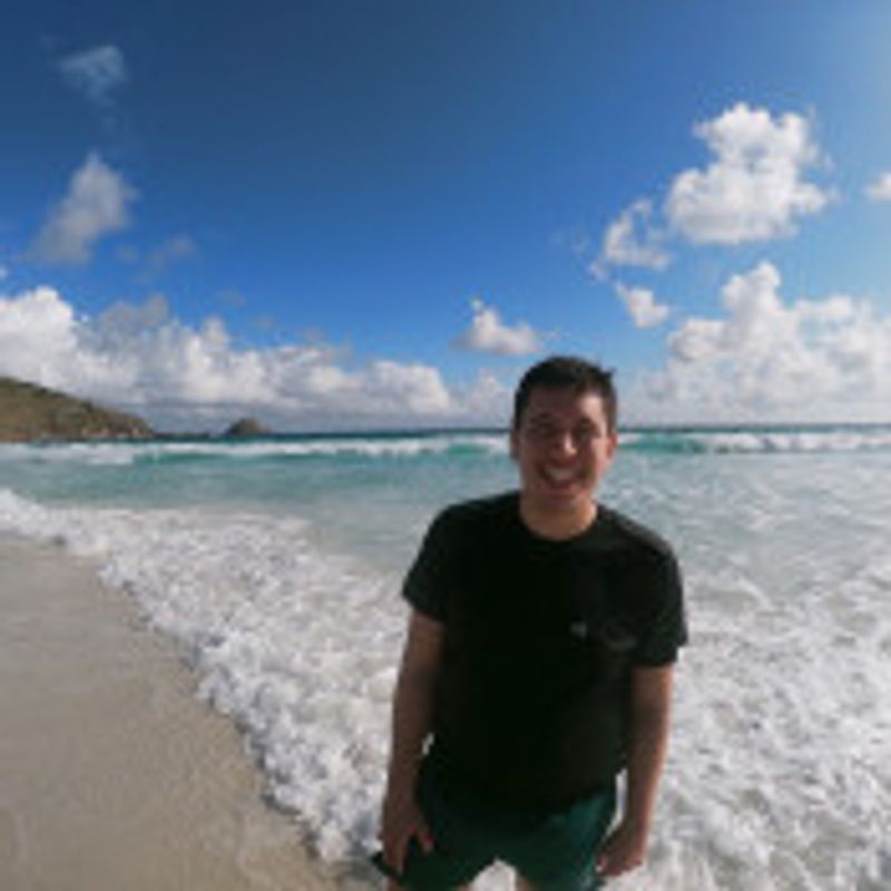 Mário Mourão picture