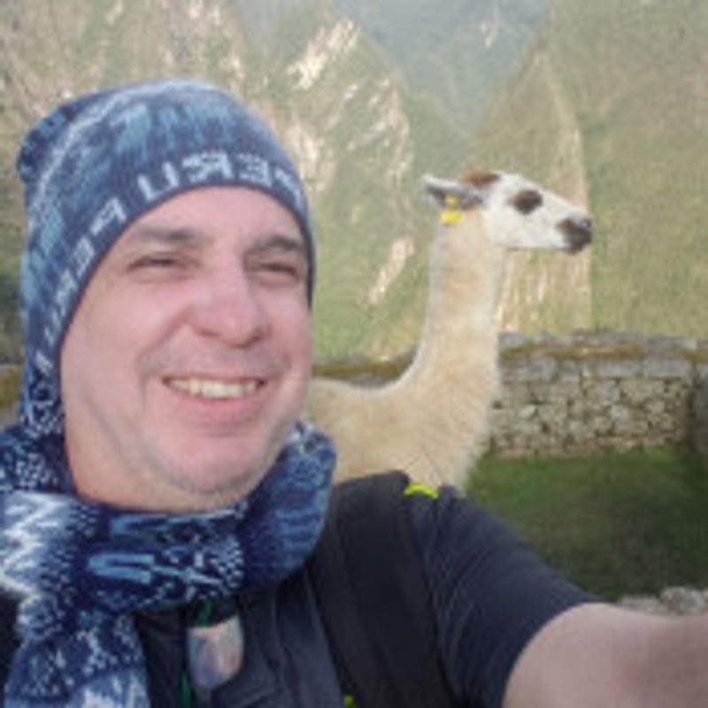 alexandre guimaraes moreira picture