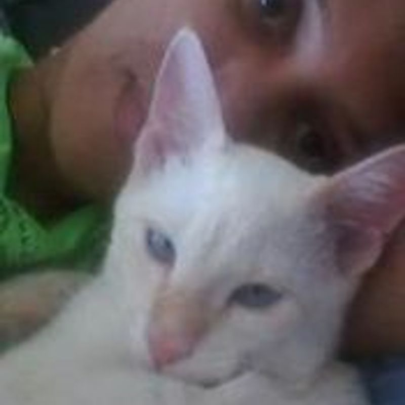 Luciene Souza picture