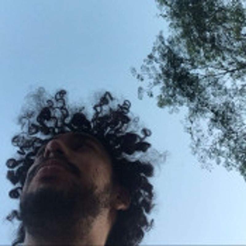 Otavio Matutino picture