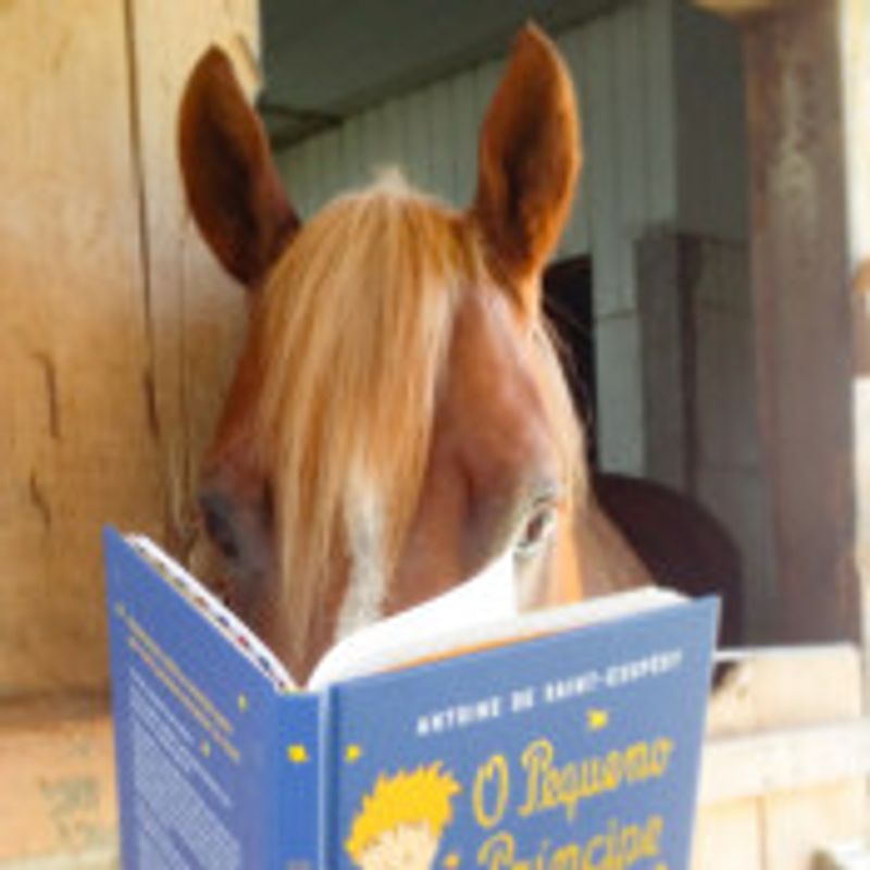 Coice_literario picture