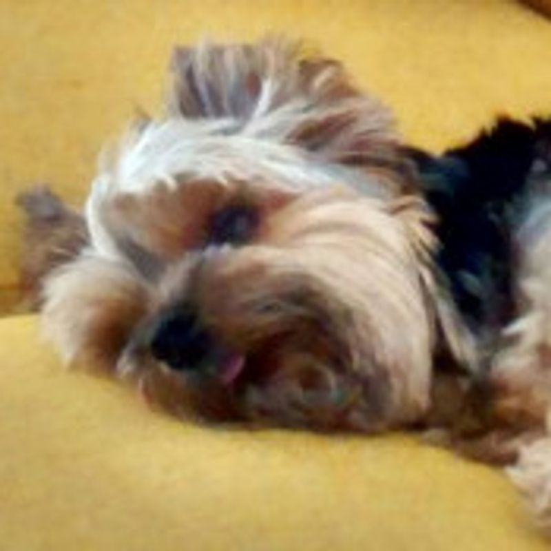 Kiko picture