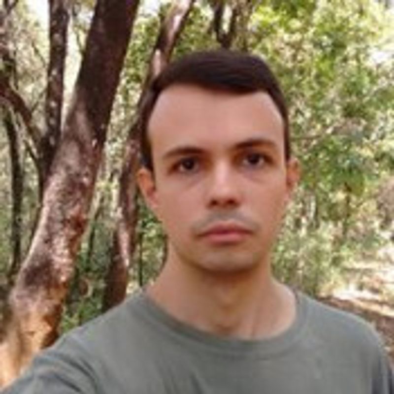 Felipe Domingues Barreto picture