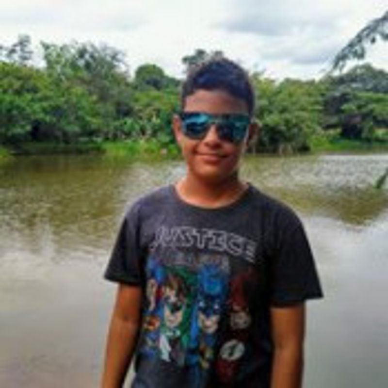 Joao Vitor Vanzo picture