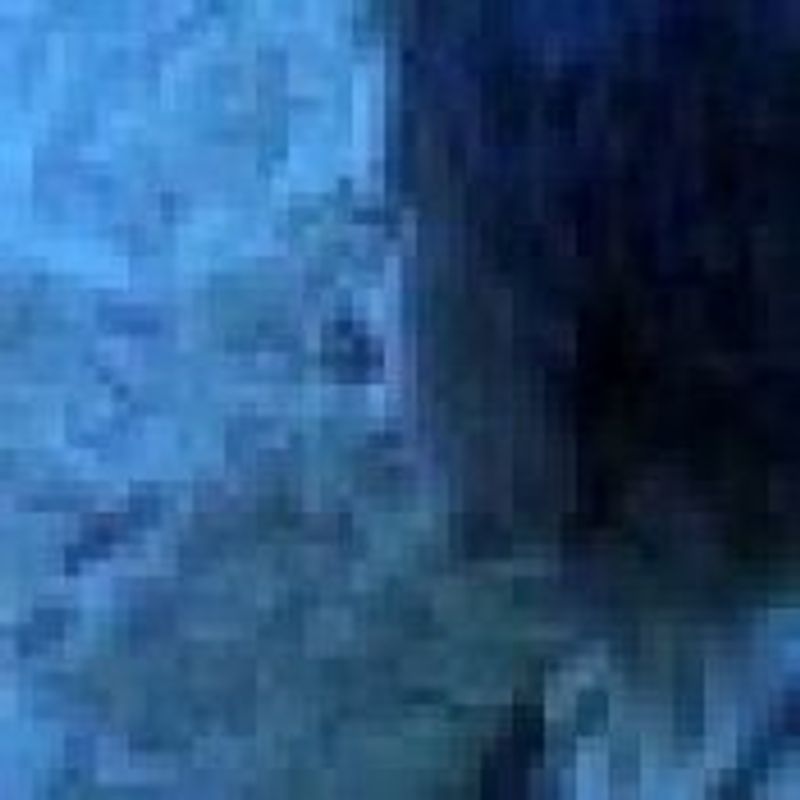 Paula Ferreira picture