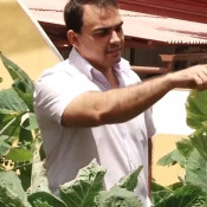 Rafael Gouveia picture