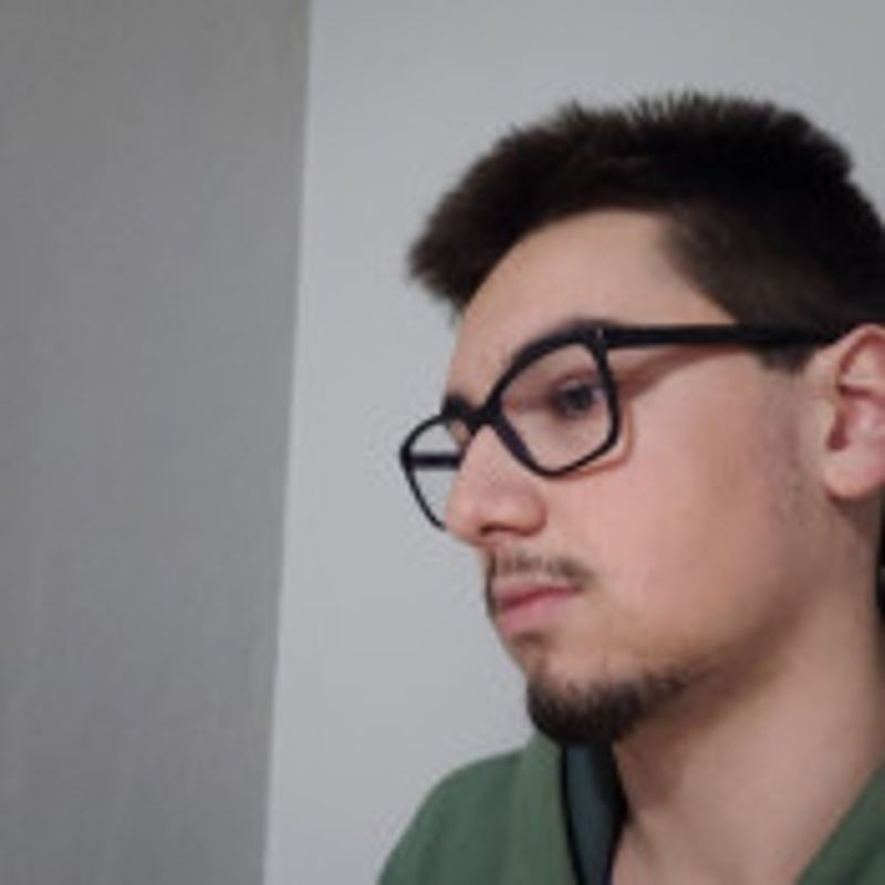 Théo Ferraz  picture