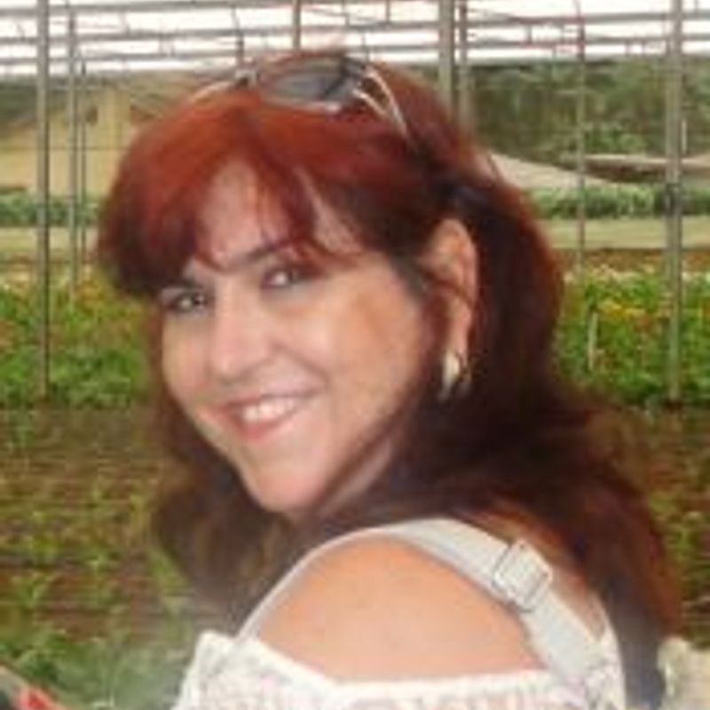 Fátima Mendonça picture
