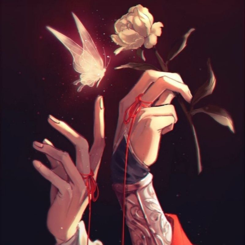 Yue Lim picture
