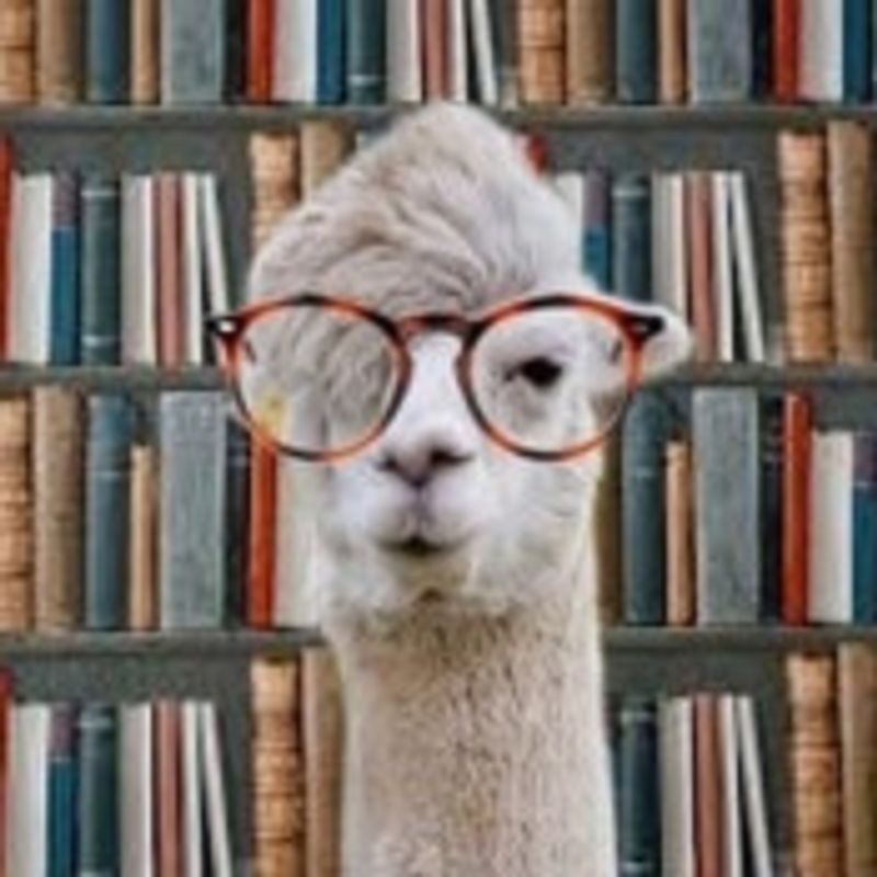 refugiosdasletras picture