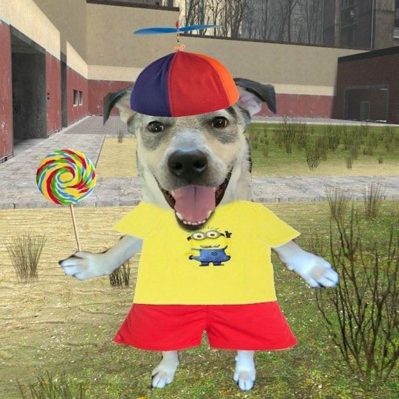 henrique picture