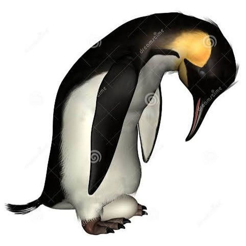 Bibibi Bobobo picture